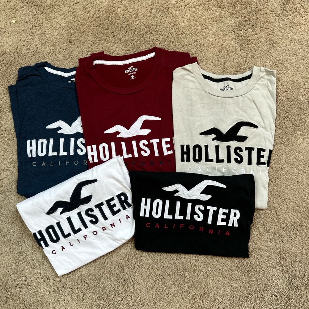 Hollister T-shirt bundle (5 in total) Size L